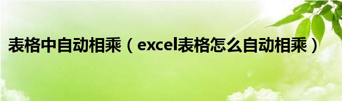 excel如何自动乘  第1张