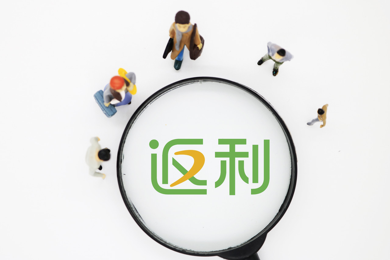 返利怎么回事，返利啦（返利怎么回事,返利啦还没到账）