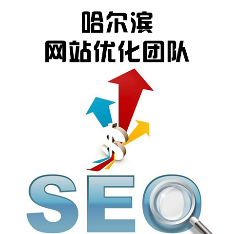 哈尔滨网站优化方案
