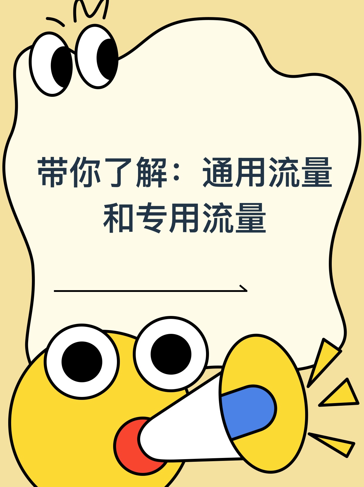 什么是专用流量，它与通用流量有何不同？