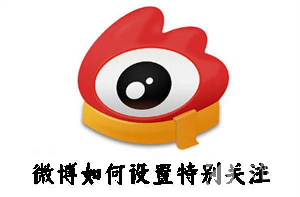 新浪微博设置特别关注，新浪微博怎么设置特别关注「新浪微博如何设置特别关注」