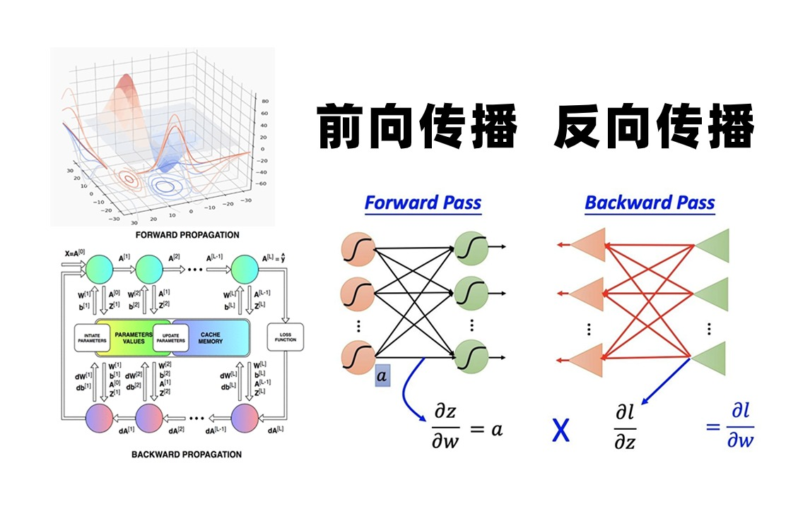 反向传播网络错误如何解决