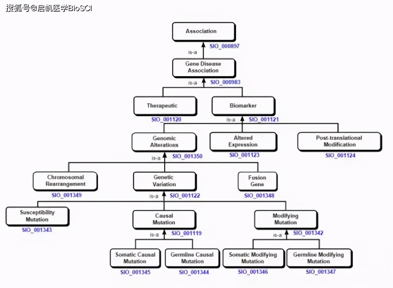 DisGeNET数据库，如何助力疾病基因研究与数据挖掘？