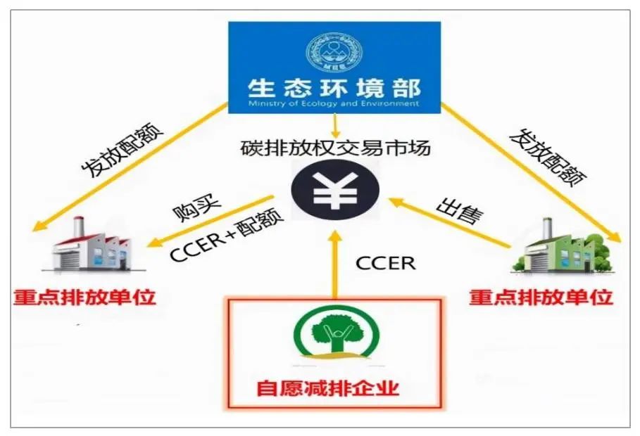 林业碳汇项目CDN，如何实现生态与经济的双赢？