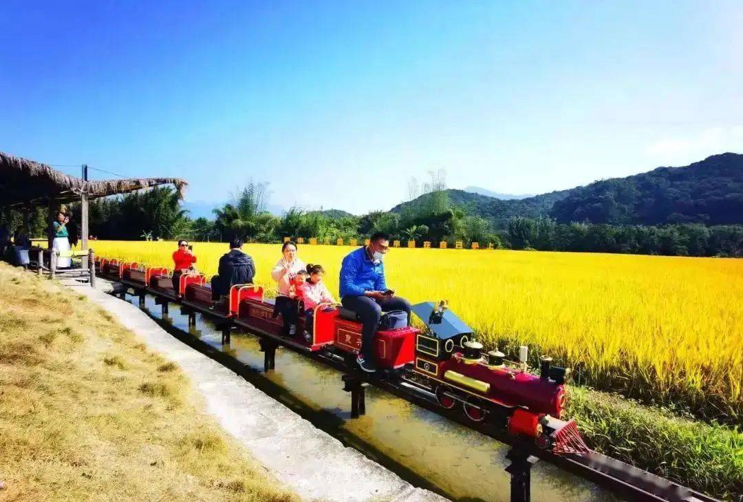 如何策划从化米埗小火车的智慧乡村旅游项目？