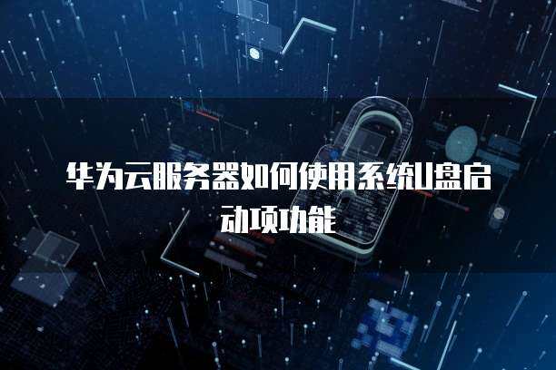 华为服务器怎么配置u盘启动系统设备
