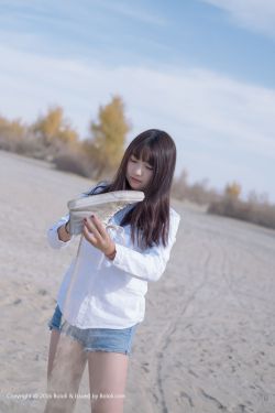 大西北织梦模板是什么,大西北织梦模板的特点
