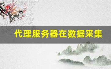 服务器为何需要充当网关或代理角色？
