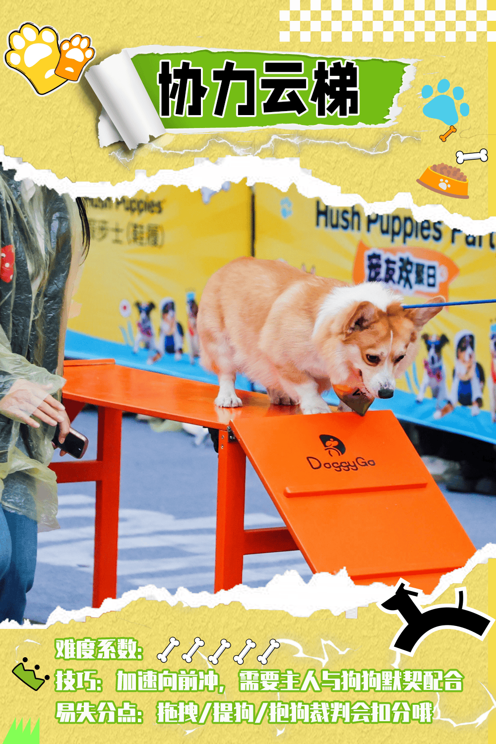 DogYun(狗云)元旦促销：动态云7折,经典云8折(dog dog是小狗)（狗云评测）