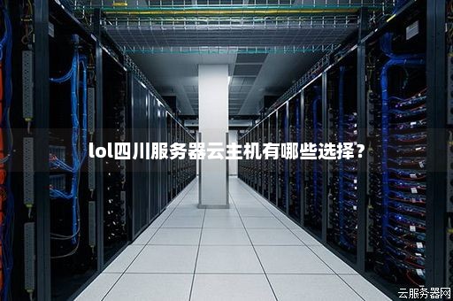在四川寻找可靠的服务器租赁服务，我应该如何选择合适的云空间提供商？