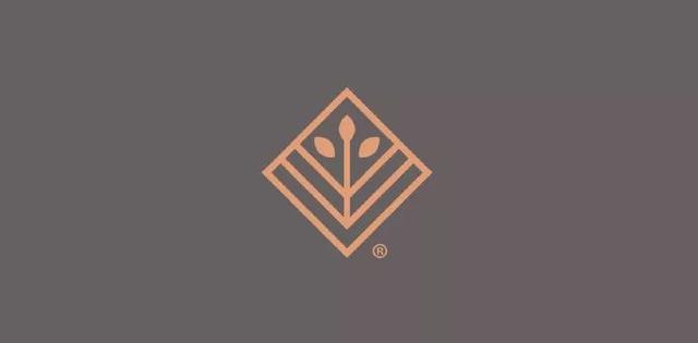 如何设计出独特吸睛的创意logo？灵感与技巧全解析！  第1张