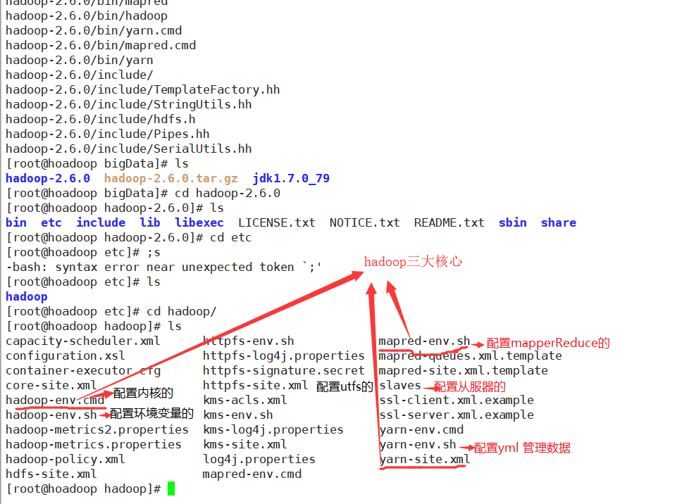 hadoop内嵌数据库目录