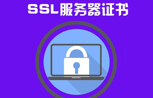 如何识别和解决服务器无效SSL证书问题 (提示服务器包含无效ssl证书)
