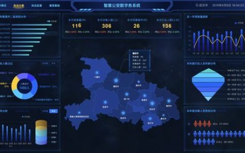 如何精确定义信息技术中的大数据及其在预定义大屏应用中的角色？