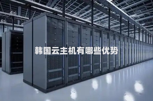 哪家韩国云主机服务商提供最优质的服务？