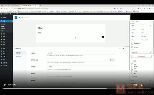 如何在WordPress网站中实现m3u8视频流的无缝嵌入？  第1张