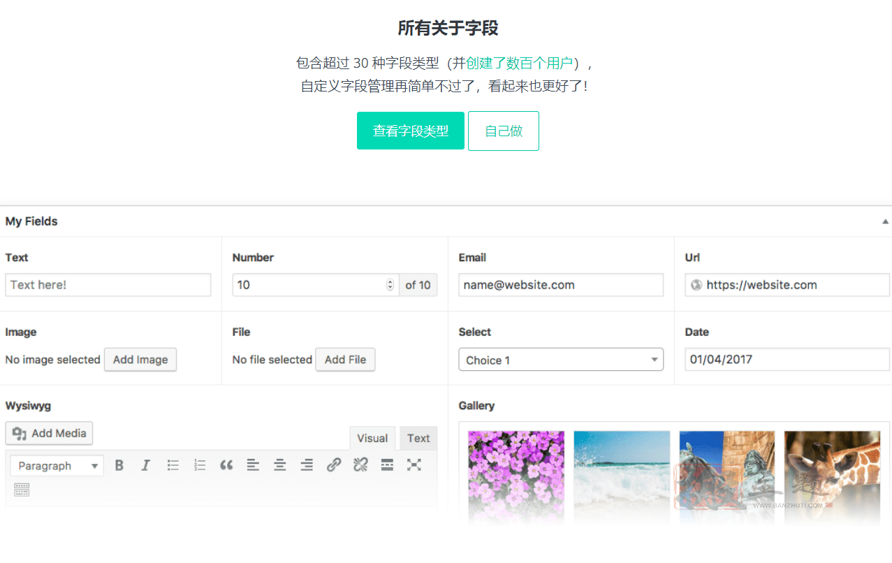 WordPress高级自定义字段展示技巧  第1张