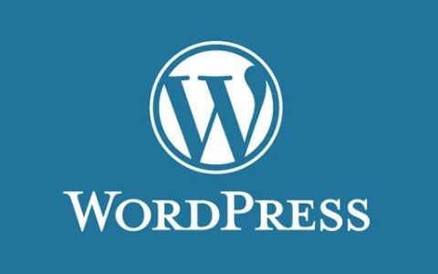 WordPress文章字体如何调大小  第1张