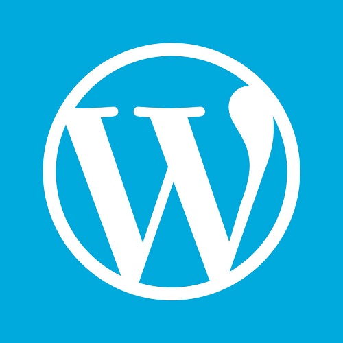 WordPress网站加载慢如何提速