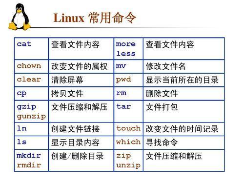 Linux命令如何快速记住  第1张