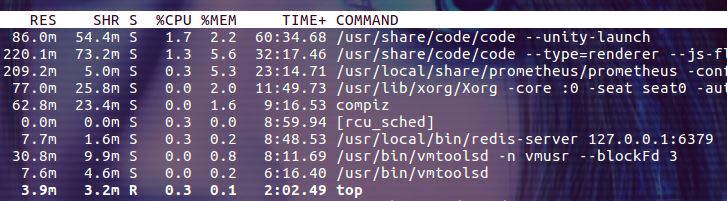 linux如何用top命令查看进程？