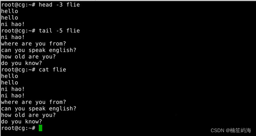 Linux终端命令快速上手技巧