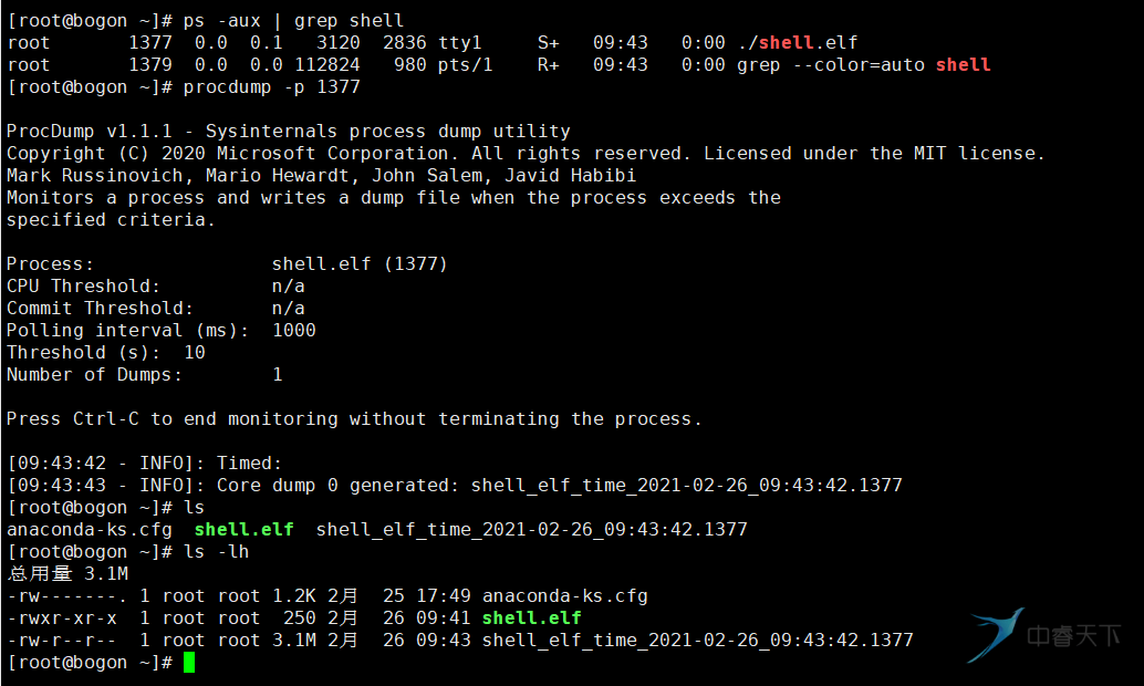 Linux如何快速安装psutil？详细教程  第1张