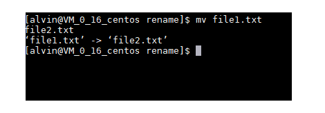 Linux如何轻松重命名文件？  第1张