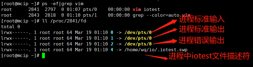 如何快速查看Linux IO瓶颈