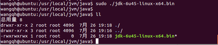 Linux如何快速执行bin文件？  第1张