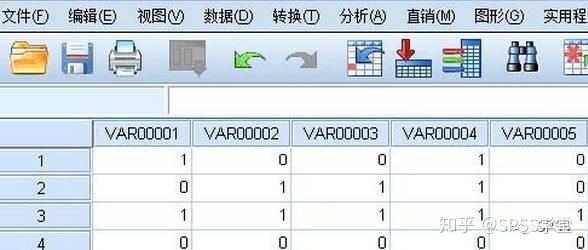 SPSS多选题如何录入数据库  第1张