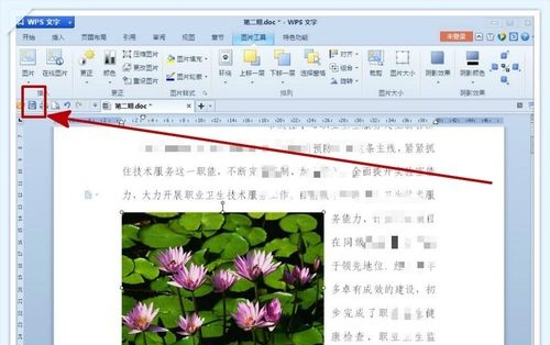 Word行距大怎么解决？