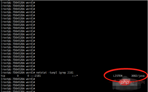 Linux如何查看端口占用情况？