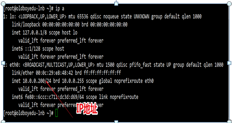 Linux无法连接网络怎么解决？  第1张