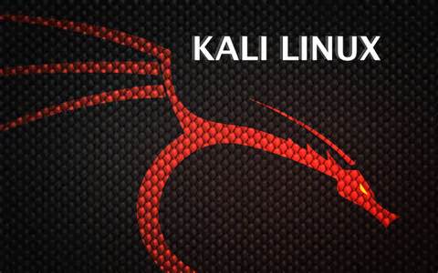 Kali Linux怎么快速联网？  第1张