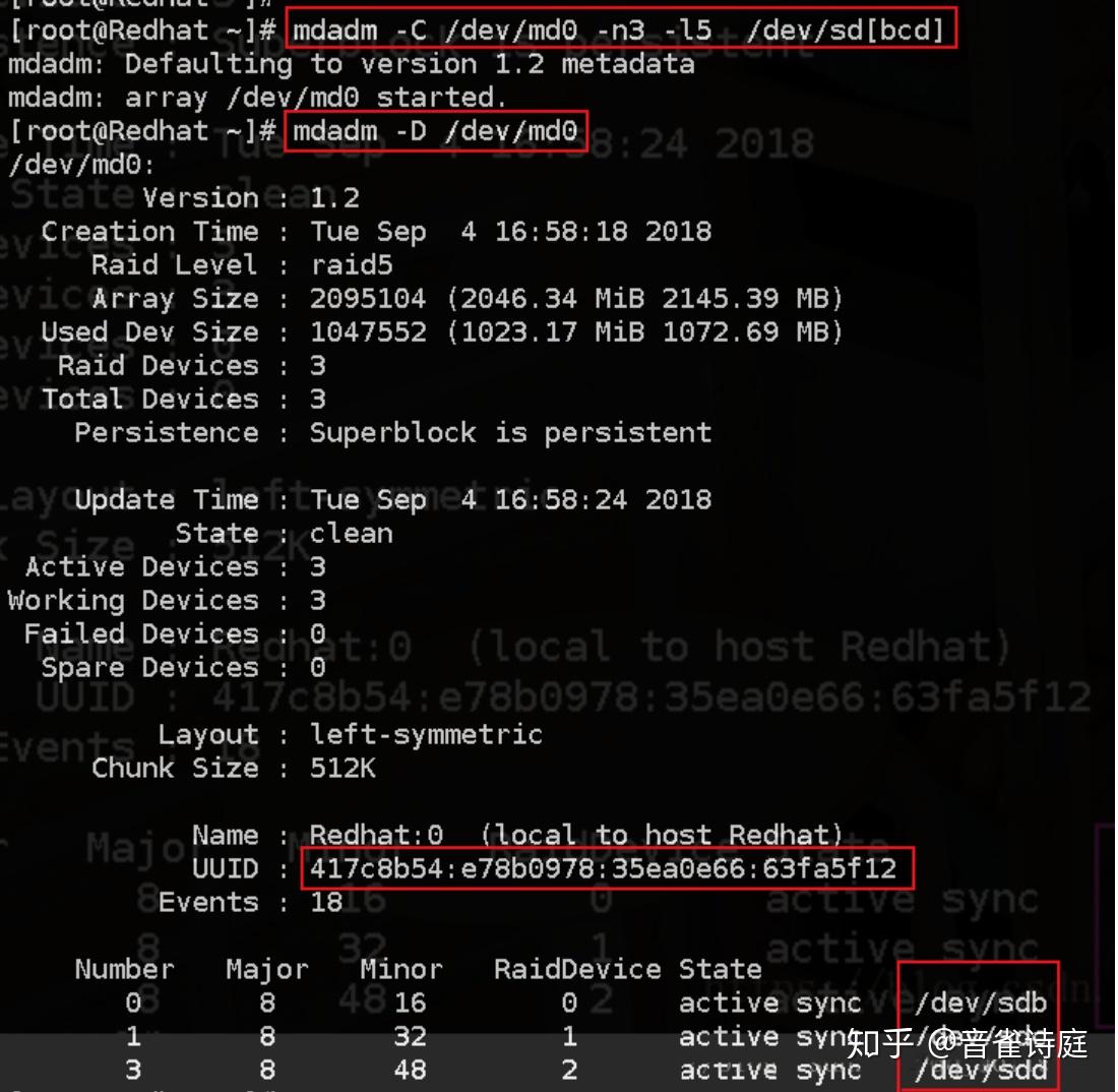 Linux如何查看RAID信息？  第1张