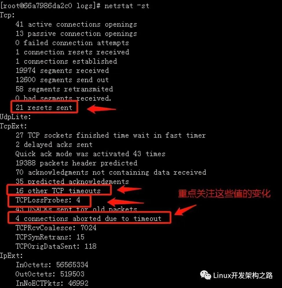 Linux服务器如何发送数据包？