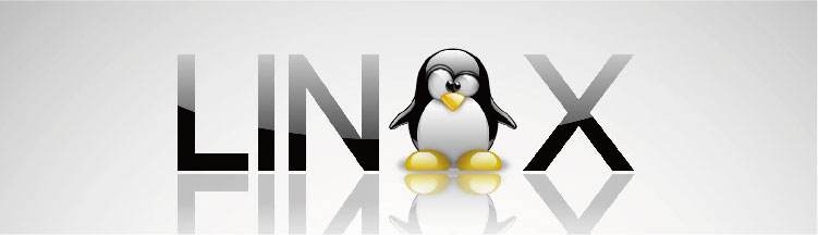 Linux无法查看PNG？怎么快速打开  第1张