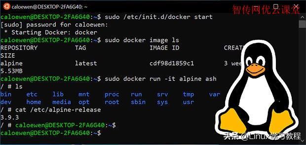 Linux如何快速获取root权限