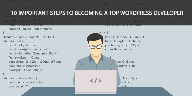 如何快速成为高薪WordPress开发者？  第1张