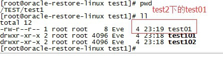 Linux怎么复制文件？  第1张