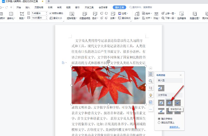WPS文字为何显示不全