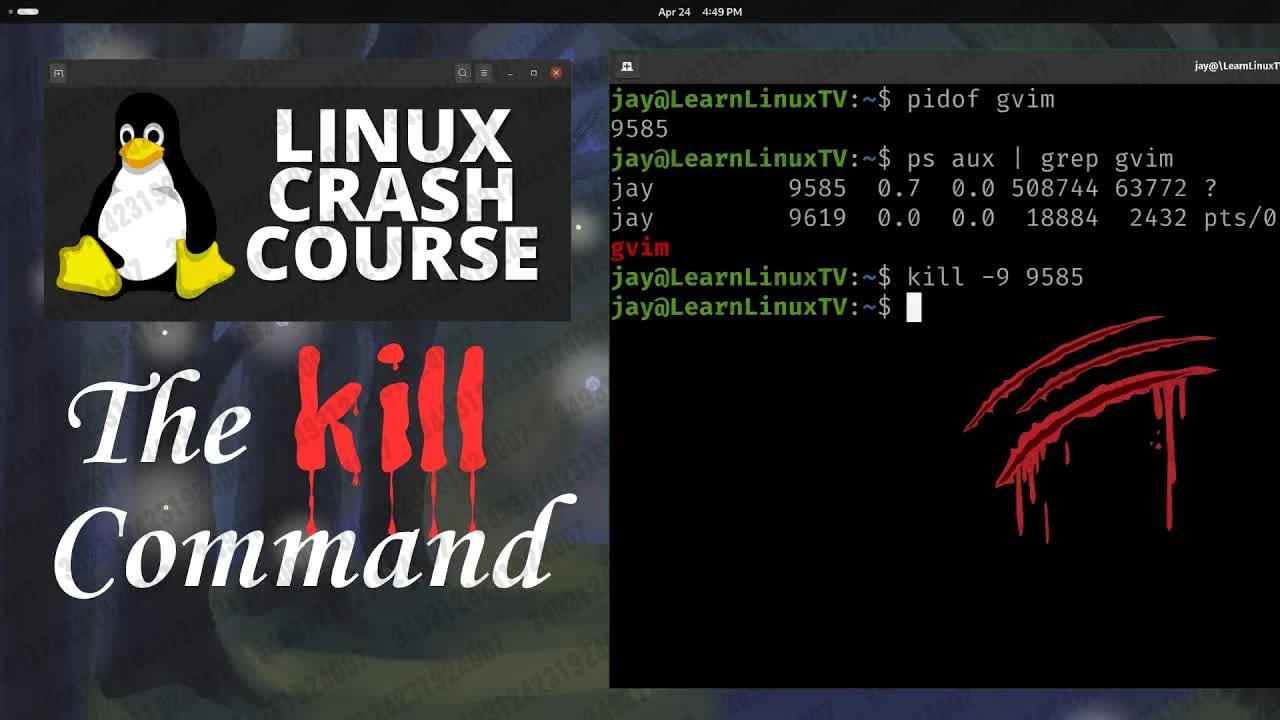 Linux kill 0如何停止？  第1张