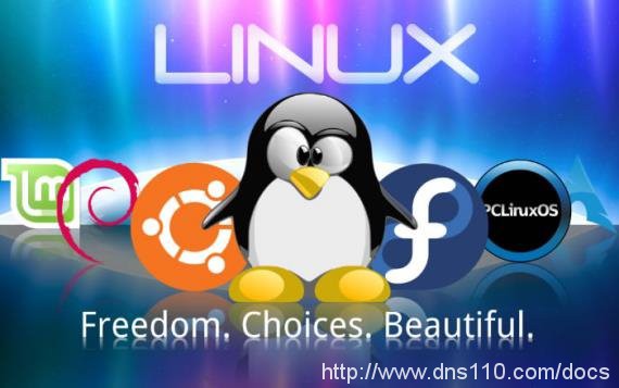Linux虚拟主机主流方案有哪些？  第1张