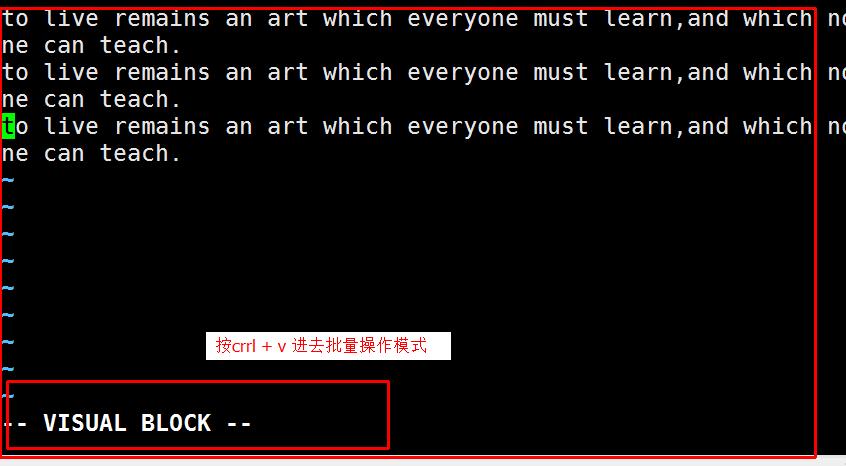 Linux如何快速复制粘贴？