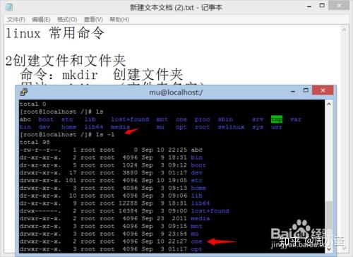 Linux怎么重命名文件？
