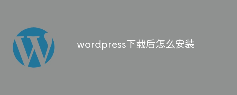 下载的WordPress主题如何快速安装？  第1张