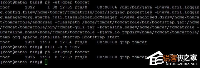 Linux如何查看用户进程？