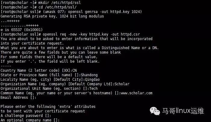虚拟主机无法启用https如何解决？