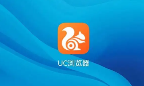 UC点击后自动跳转Safari？